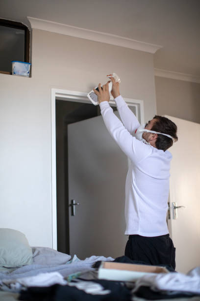 Best Industrial Mold Remediation  in Sheldon, TX