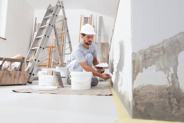 Best Basement Mold Removal  in Sheldon, TX