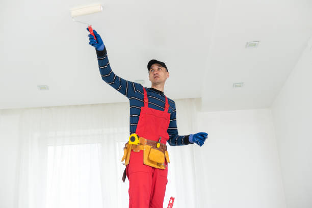 Best Basement Mold Removal  in Sheldon, TX